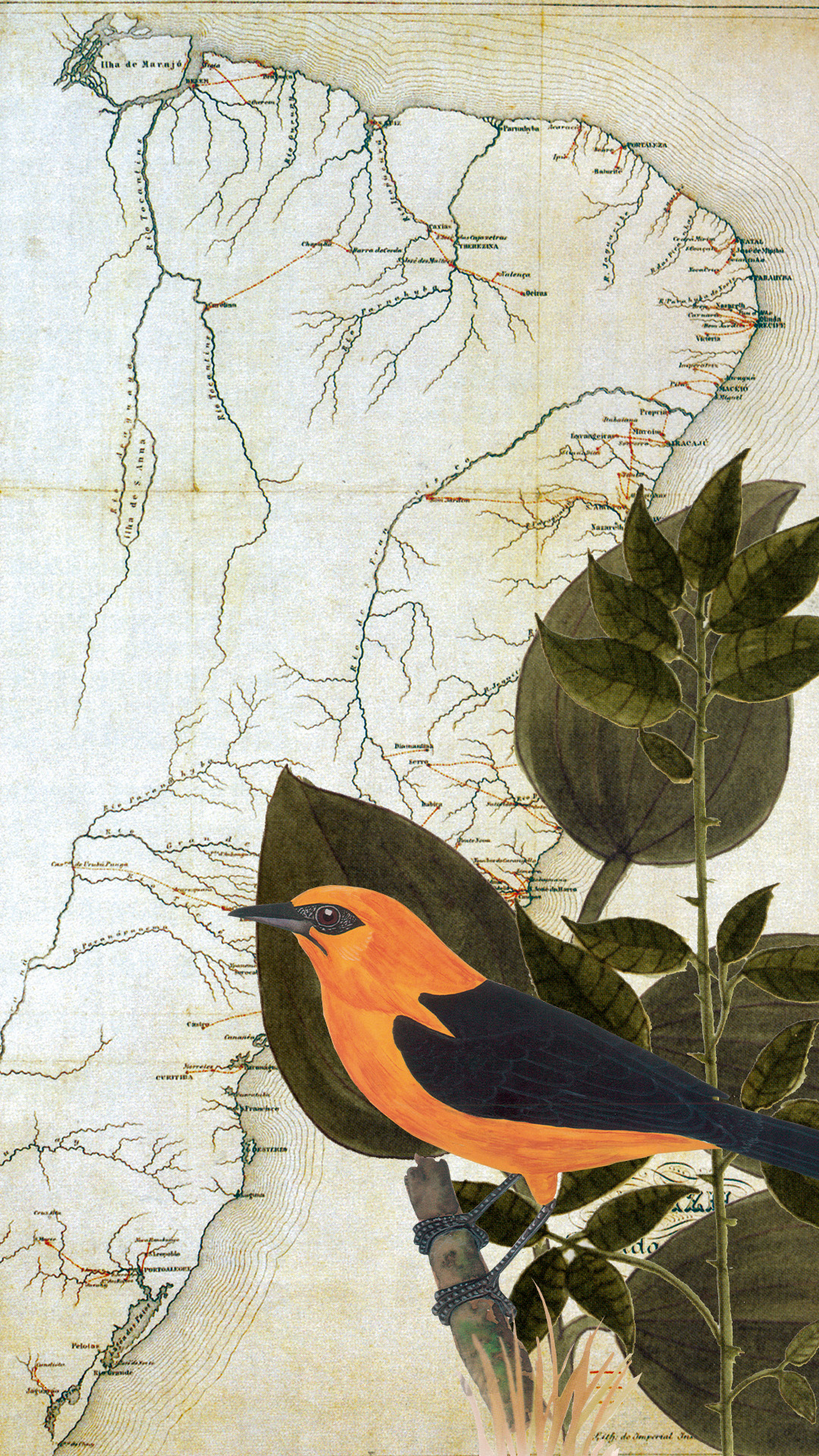 O-Rio-Tocantins-No-Olhar-Dos-Viajantes-3