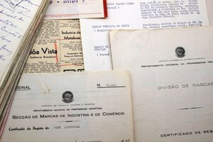 Preservação de acervos em tempos de mudanças climáticas: um desafio coletivo