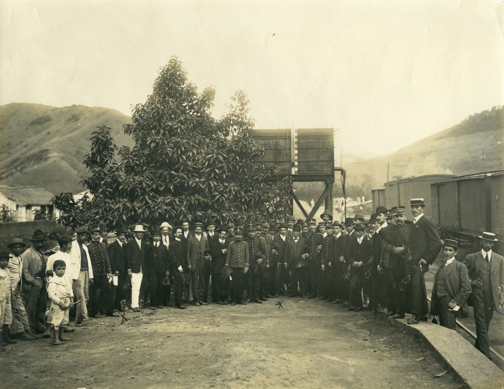 Além da curadoria